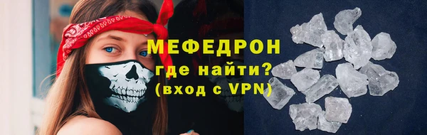 индика Аркадак