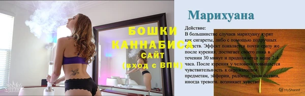 гидра Арсеньев