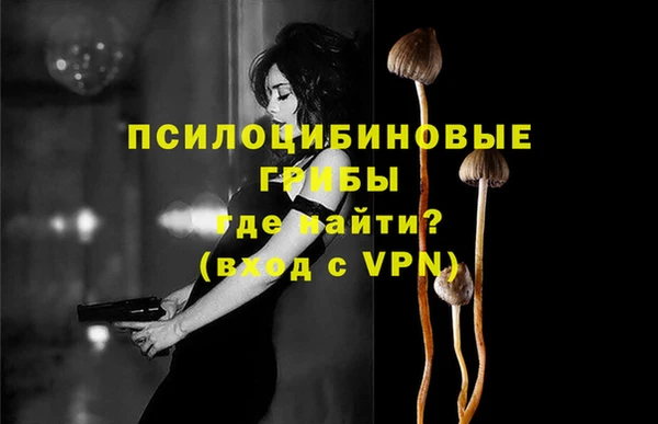 индика Аркадак