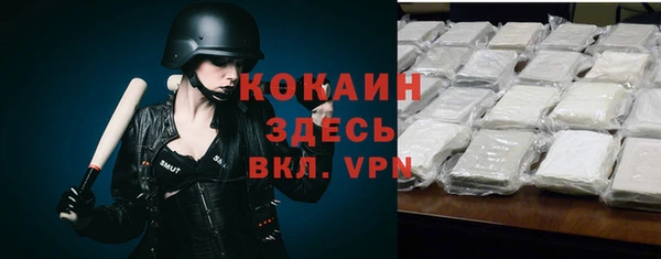 индика Аркадак