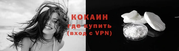 гидра Арсеньев