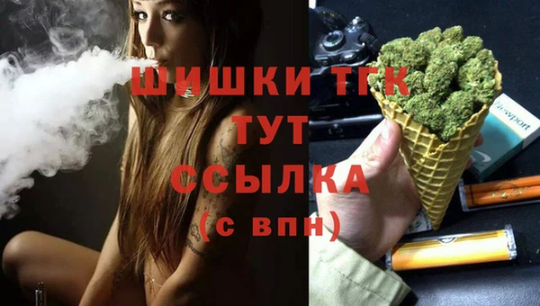 гидра Арсеньев