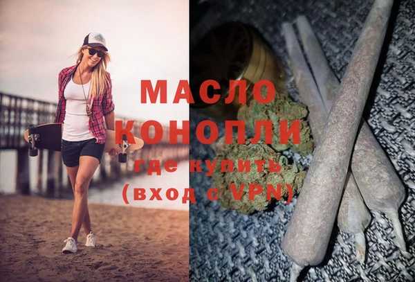 индика Аркадак