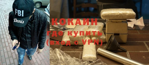 индика Аркадак
