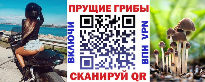 Галлюциногенные грибы мухоморы  Новоалександровск 